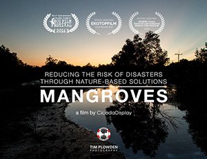 Mangroves : Reducing the risk of disaster through nature-based solutions