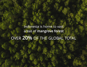 A Global Mangrove Alliance